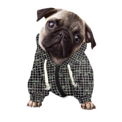 Pets&P Personalized Hooded Sweatshirt