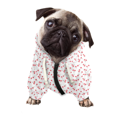 Pets&P Personalized Hooded Sweatshirt