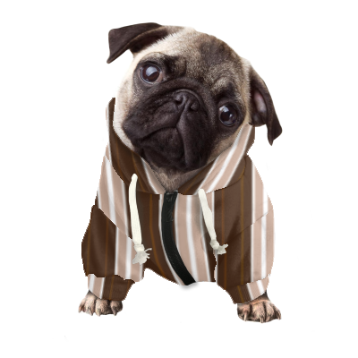 Pets&P Personalized Hooded Sweatshirt