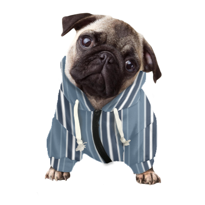 Pets&P Personalized Hooded Sweatshirt