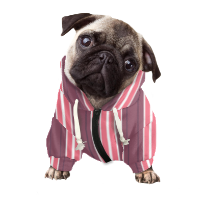 Pets&P Personalized Hooded Sweatshirt