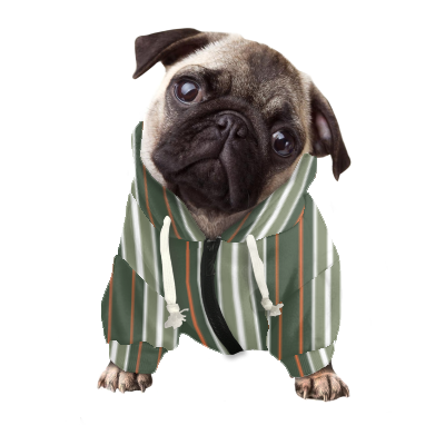 Pets&P Personalized Hooded Sweatshirt