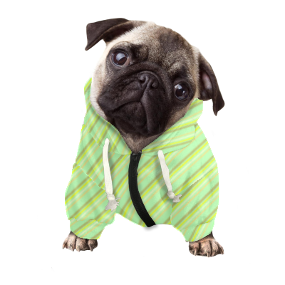 Pets&P Personalized Hooded Sweatshirt