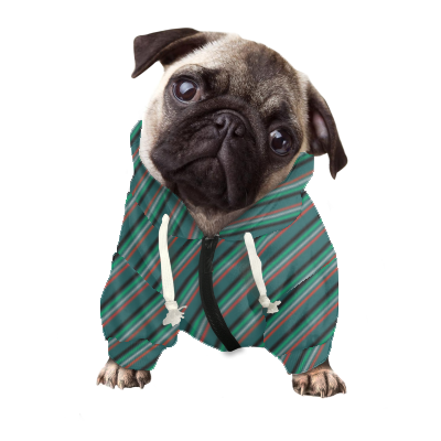 Pets&P Personalized Hooded Sweatshirt