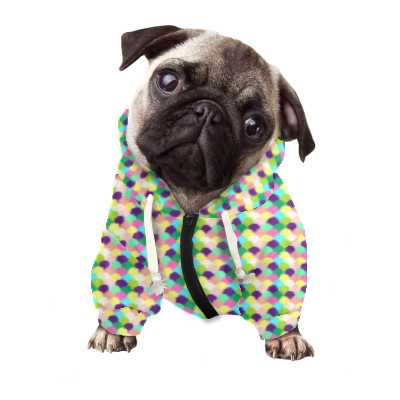 Pets&P Personalized Hooded Sweatshirt