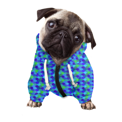 Pets&P Personalized Hooded Sweatshirt