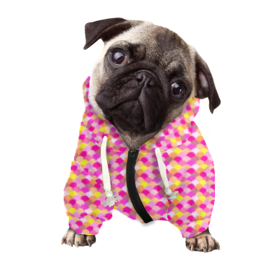 Pets&P Personalized Hooded Sweatshirt