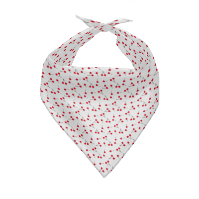 Pets&P Personalized Pet Scarves