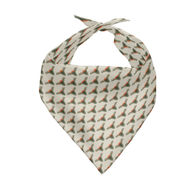 Pets&P Personalized Pet Scarves