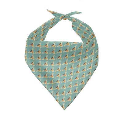 Pets&P Personalized Pet Scarves