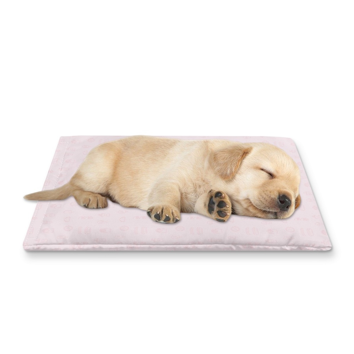 Pets&P Personalized Pet Ice Placemat