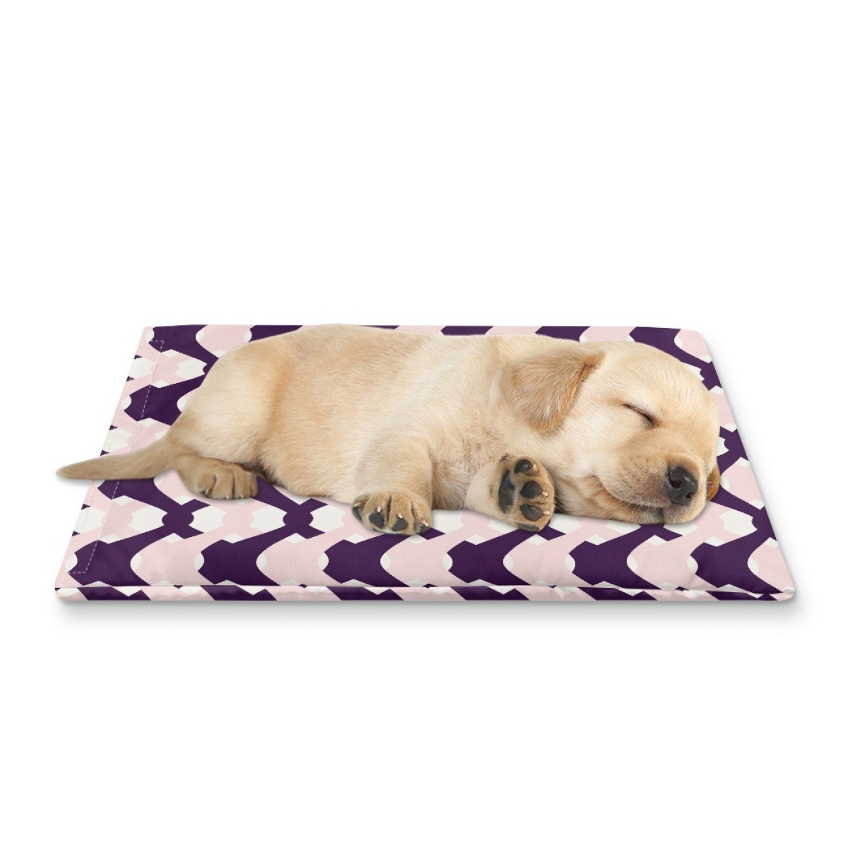 Pets&P Personalized Pet Ice Placemat
