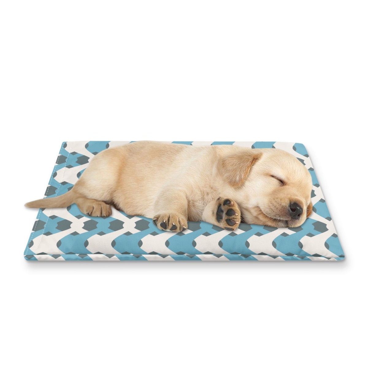 Pets&P Personalized Pet Ice Placemat