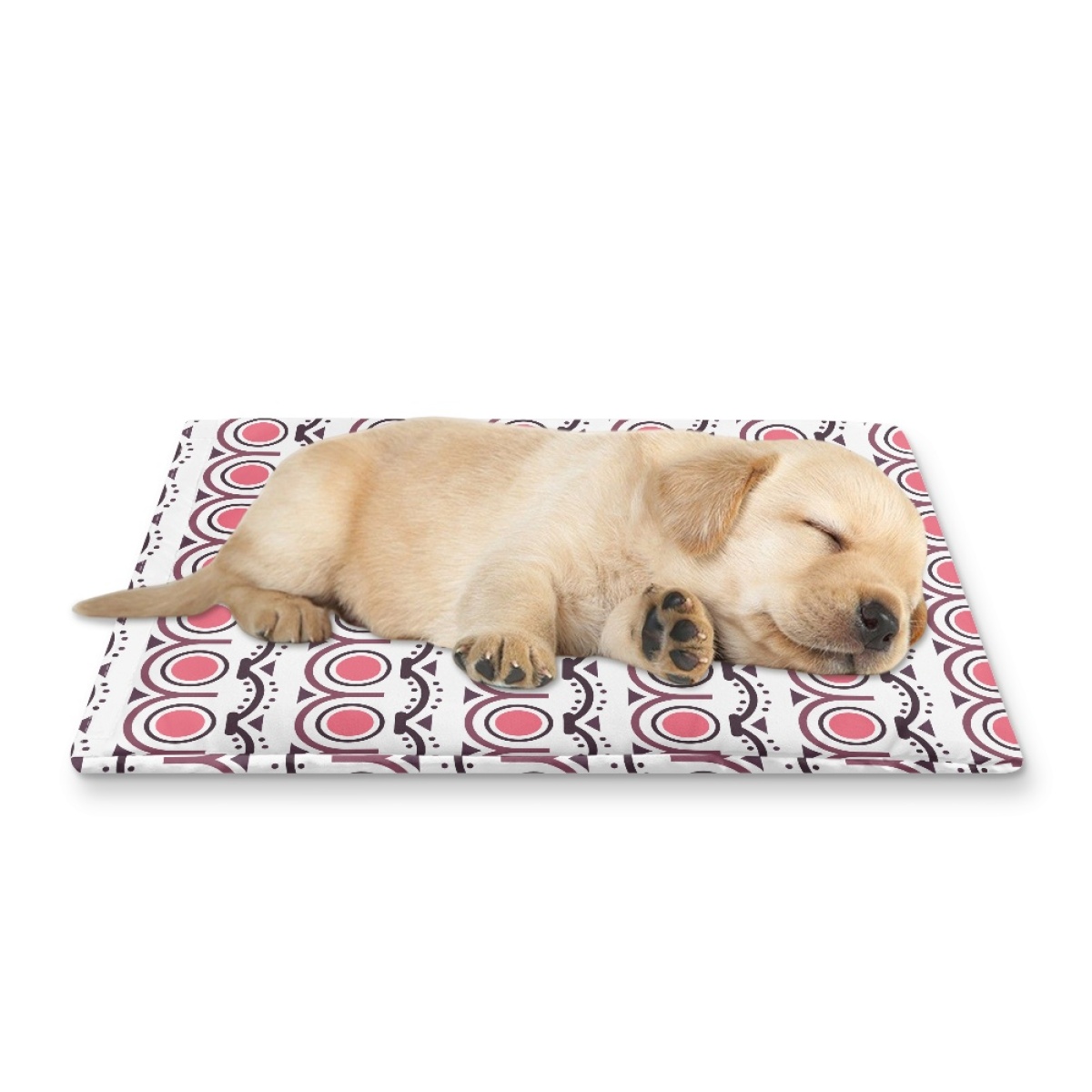 Pets&P Personalized Pet Ice Placemat