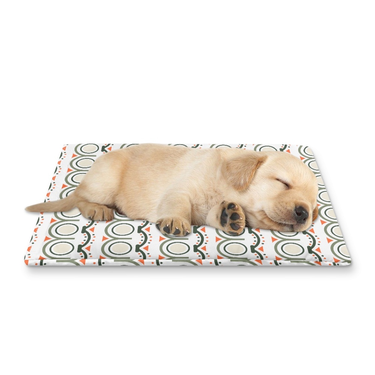 Pets&P Personalized Pet Ice Placemat