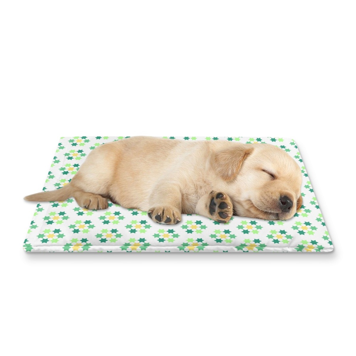 Pets&P Personalized Pet Ice Placemat