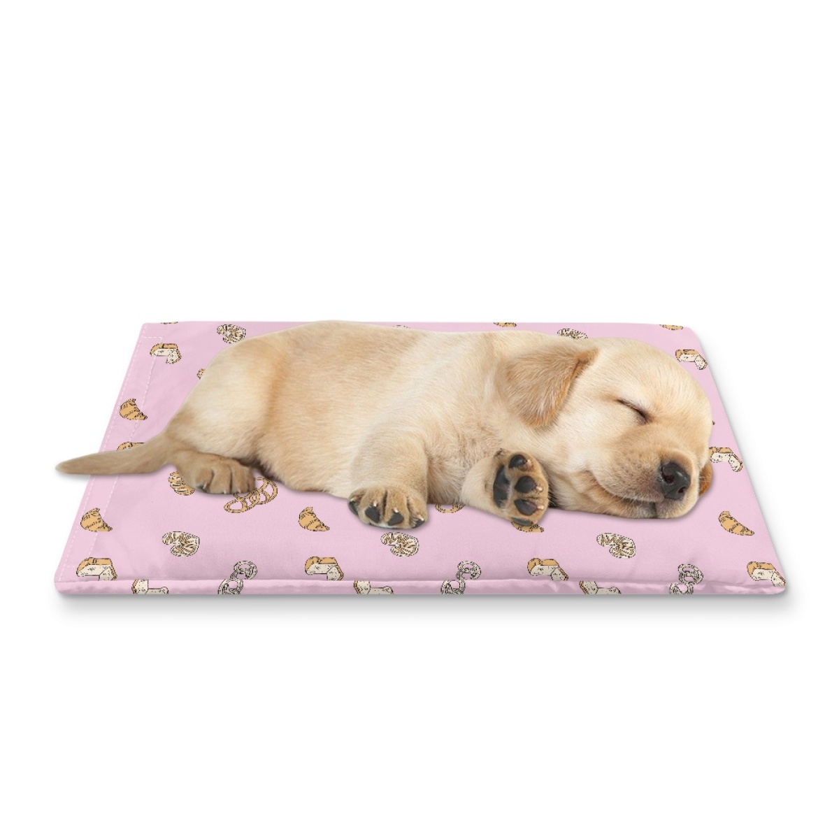 Pets&P Personalized Pet Ice Placemat