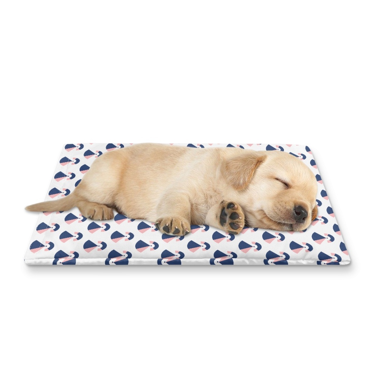 Pets&P Personalized Pet Ice Placemat