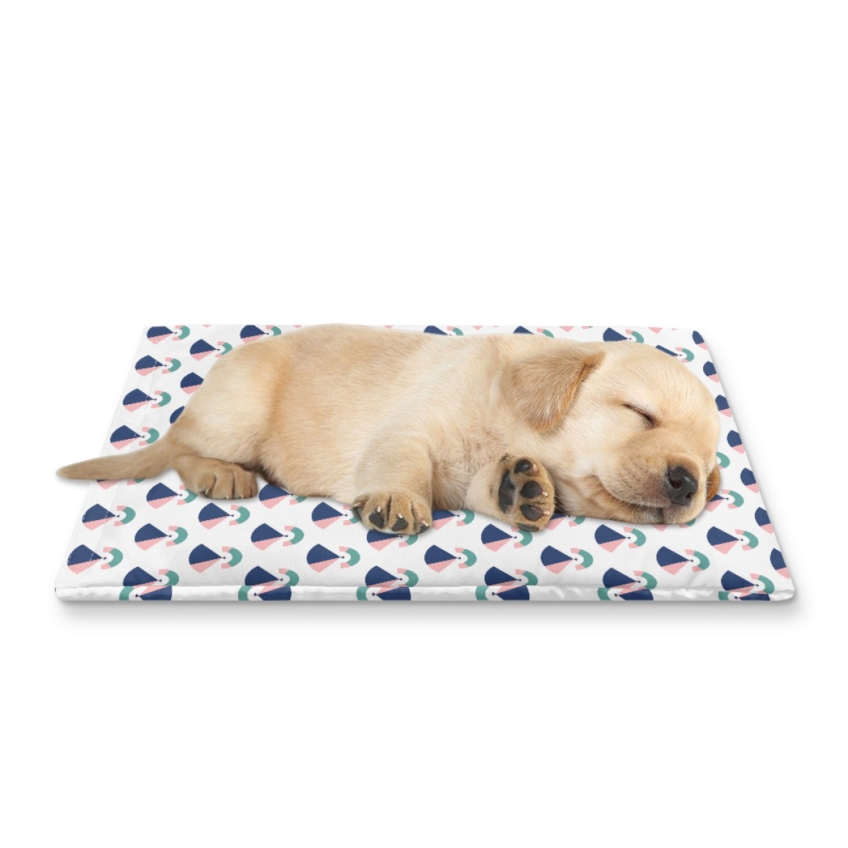 Pets&P Personalized Pet Ice Placemat