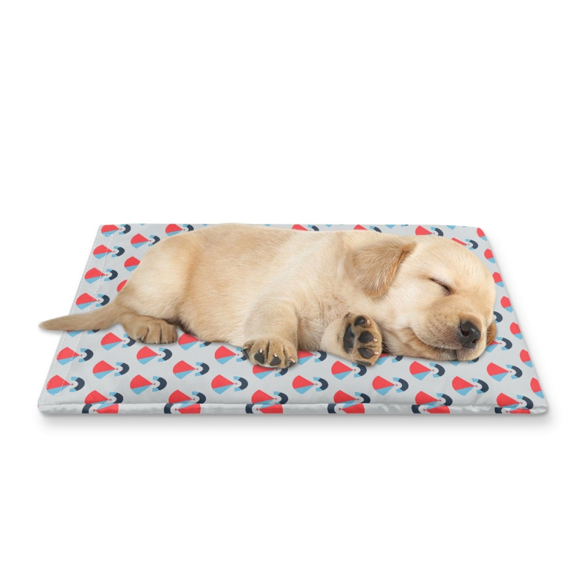 Pets&P Personalized Pet Ice Placemat