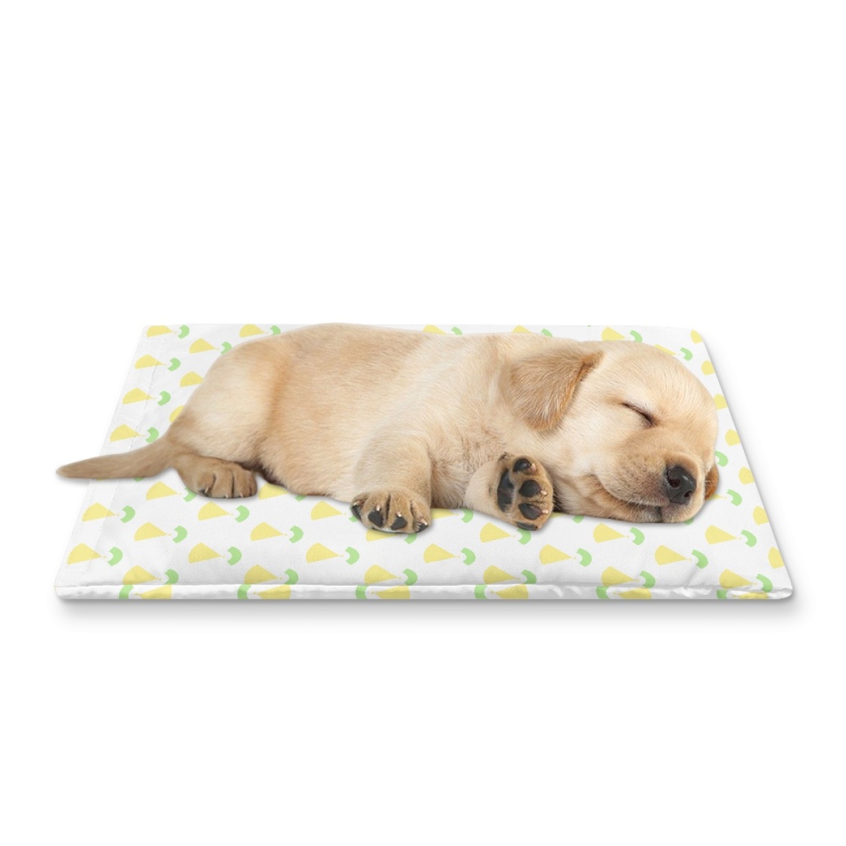 Pets&P Personalized Pet Ice Placemat