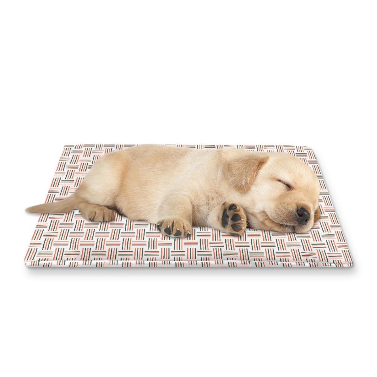 Pets&P Personalized Pet Ice Placemat
