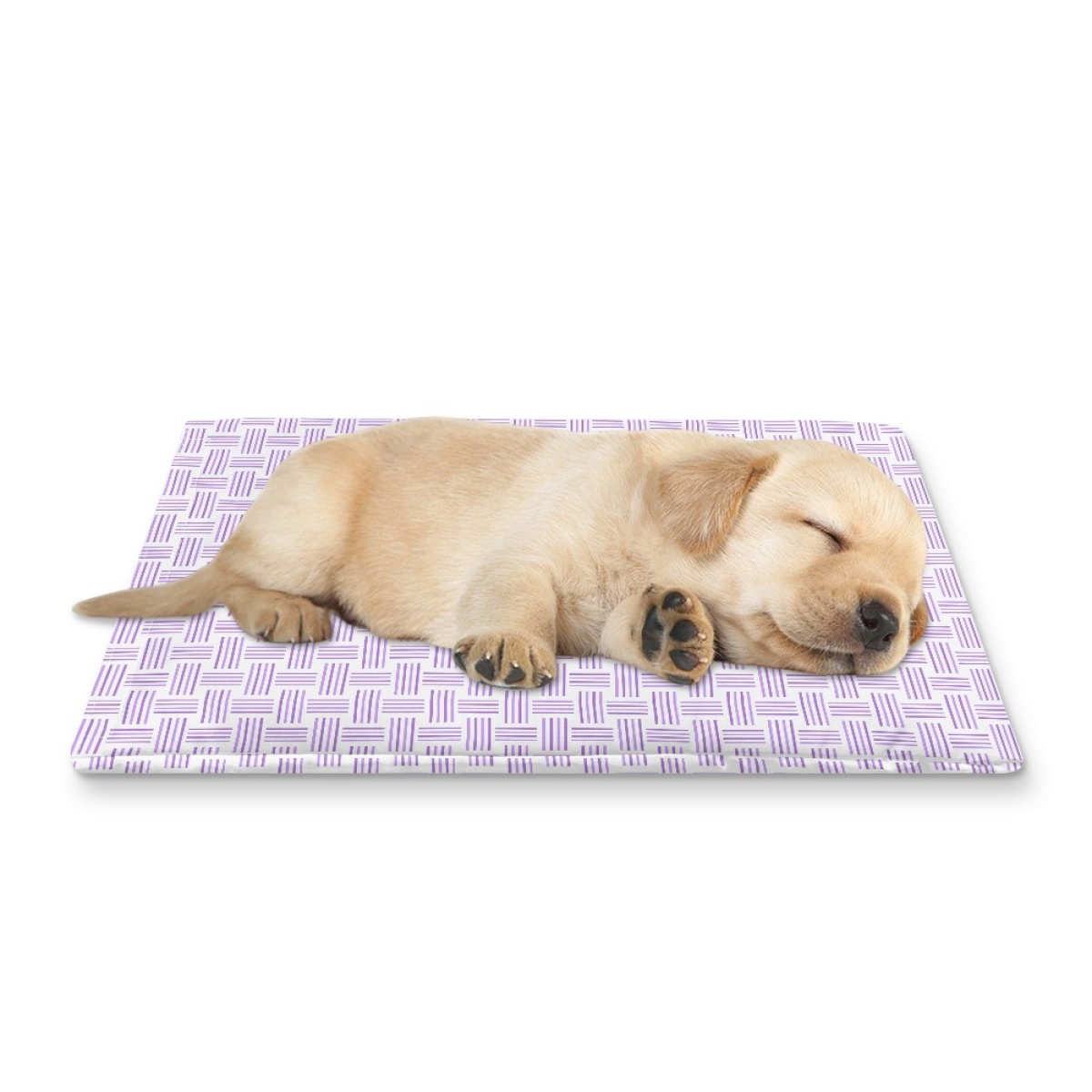 Pets&P Personalized Pet Ice Placemat