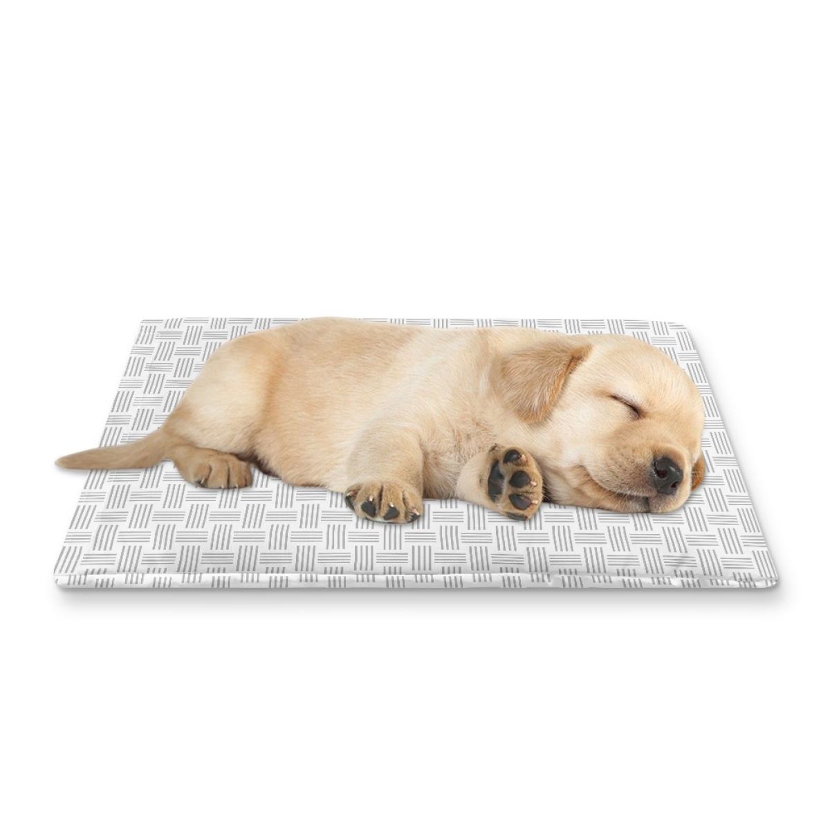 Pets&P Personalized Pet Ice Placemat