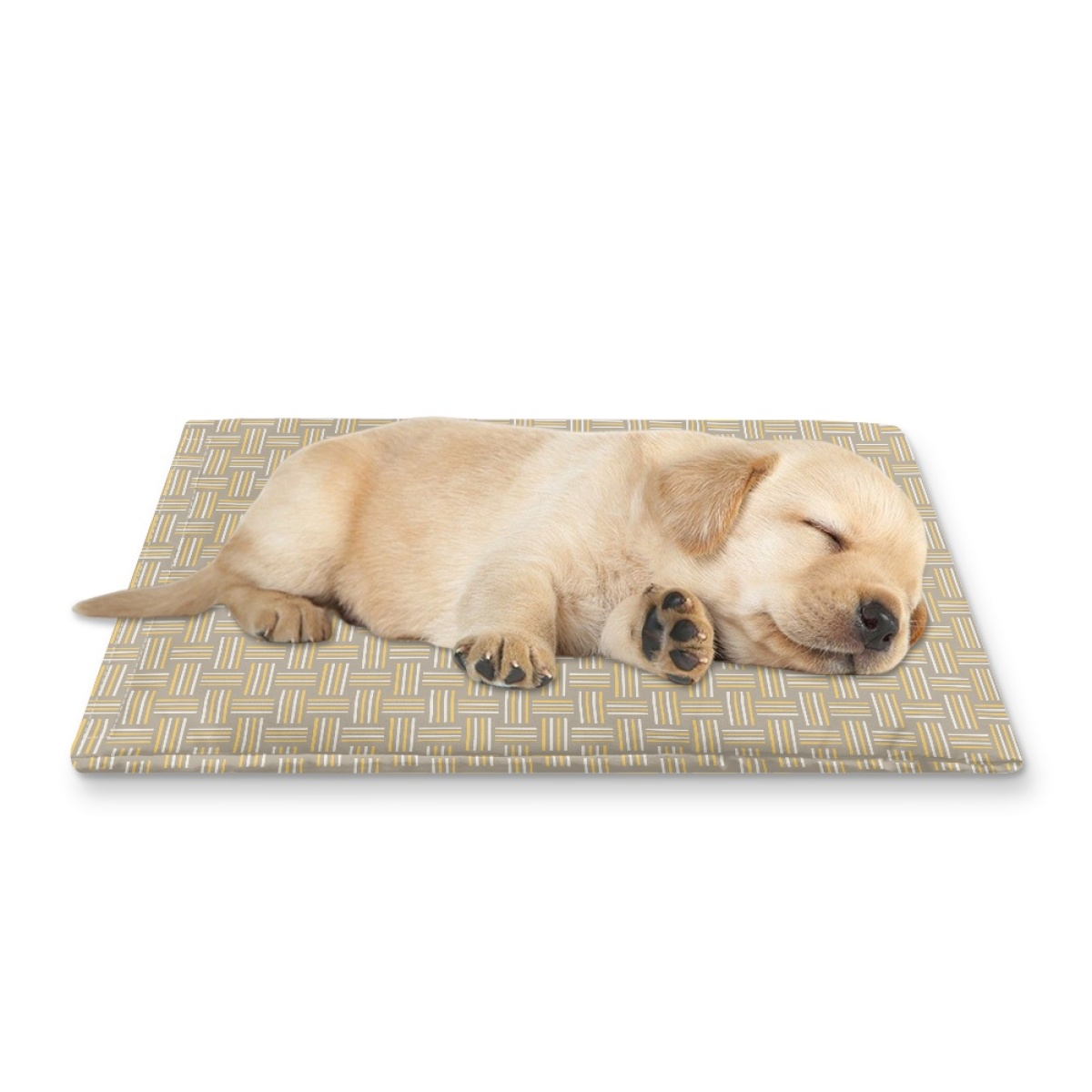 Pets&P Personalized Pet Ice Placemat
