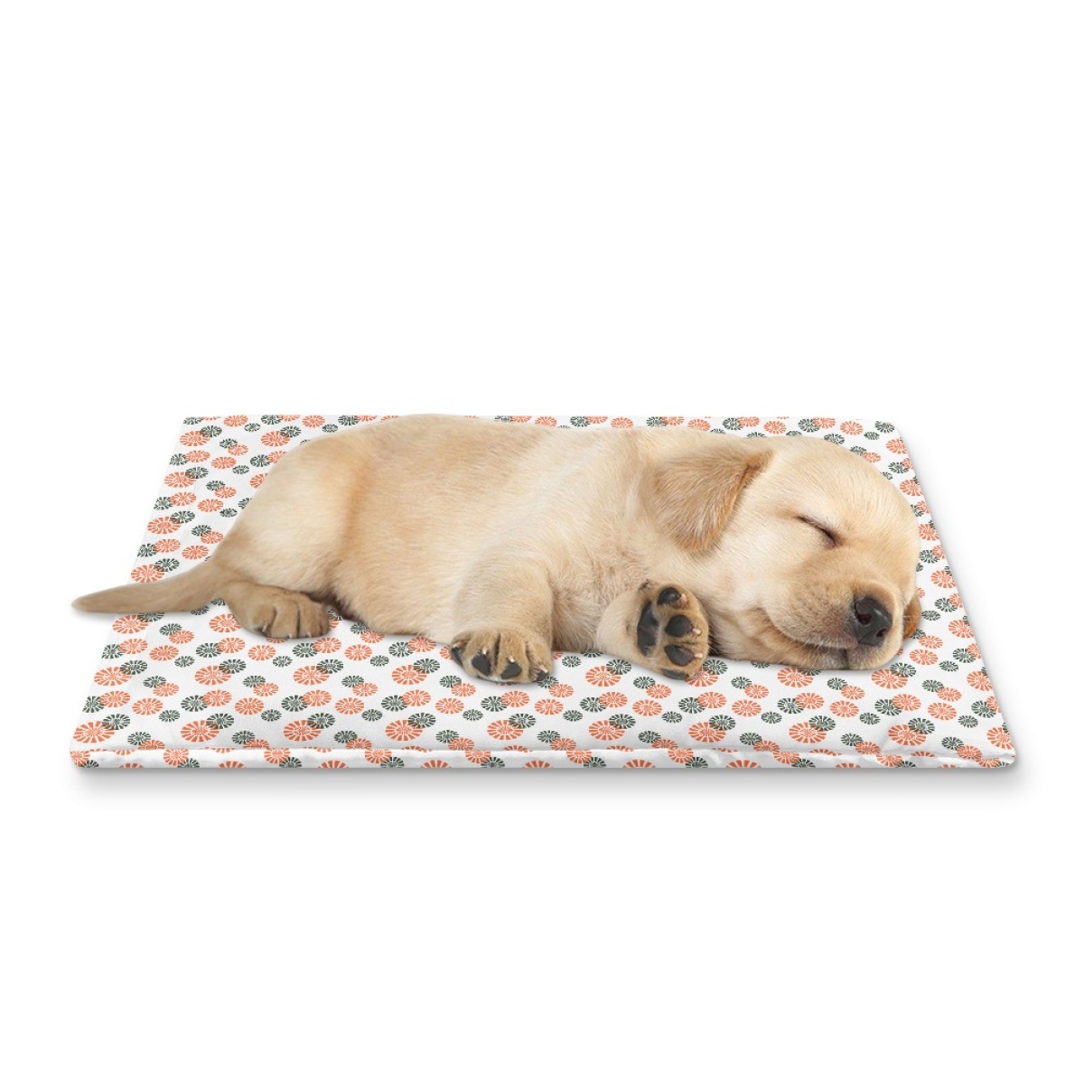 Pets&P Personalized Pet Ice Placemat