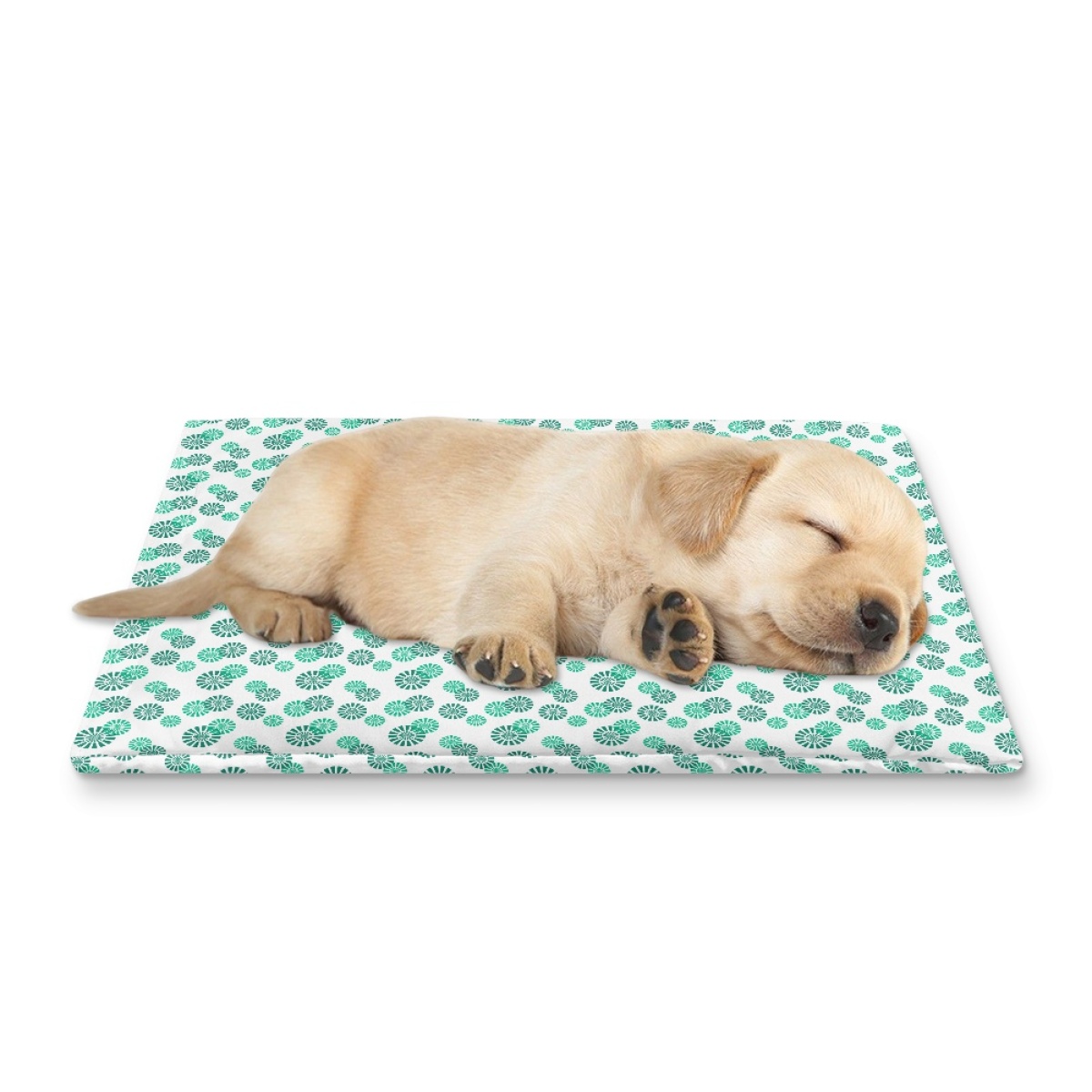 Pets&P Personalized Pet Ice Placemat