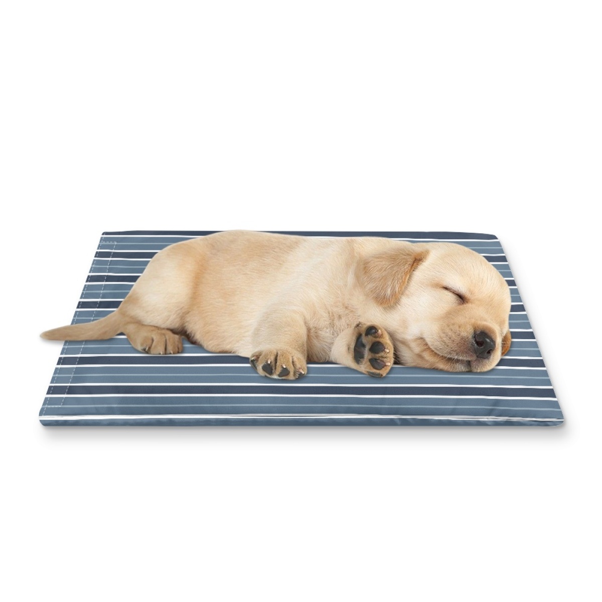 Pets&P Personalized Pet Ice Placemat