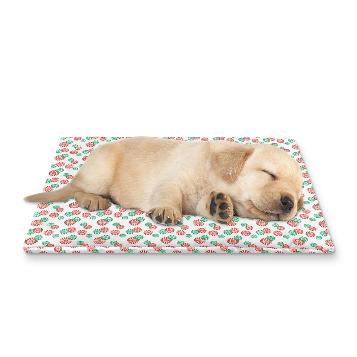 Pets&P Personalized Pet Ice Placemat