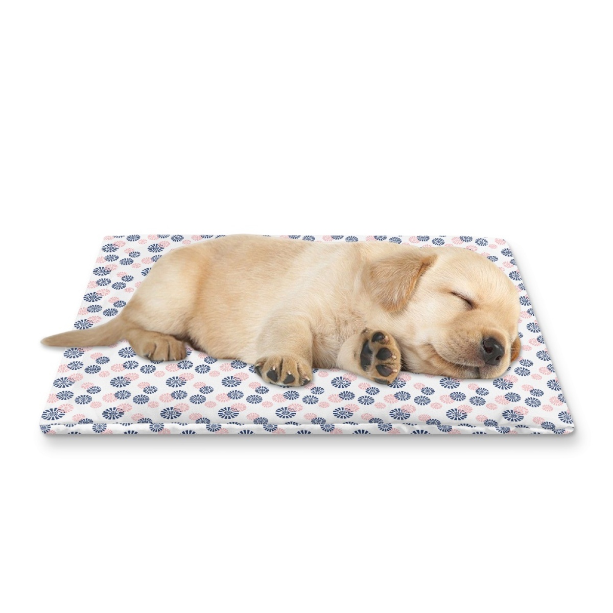 Pets&P Personalized Pet Ice Placemat