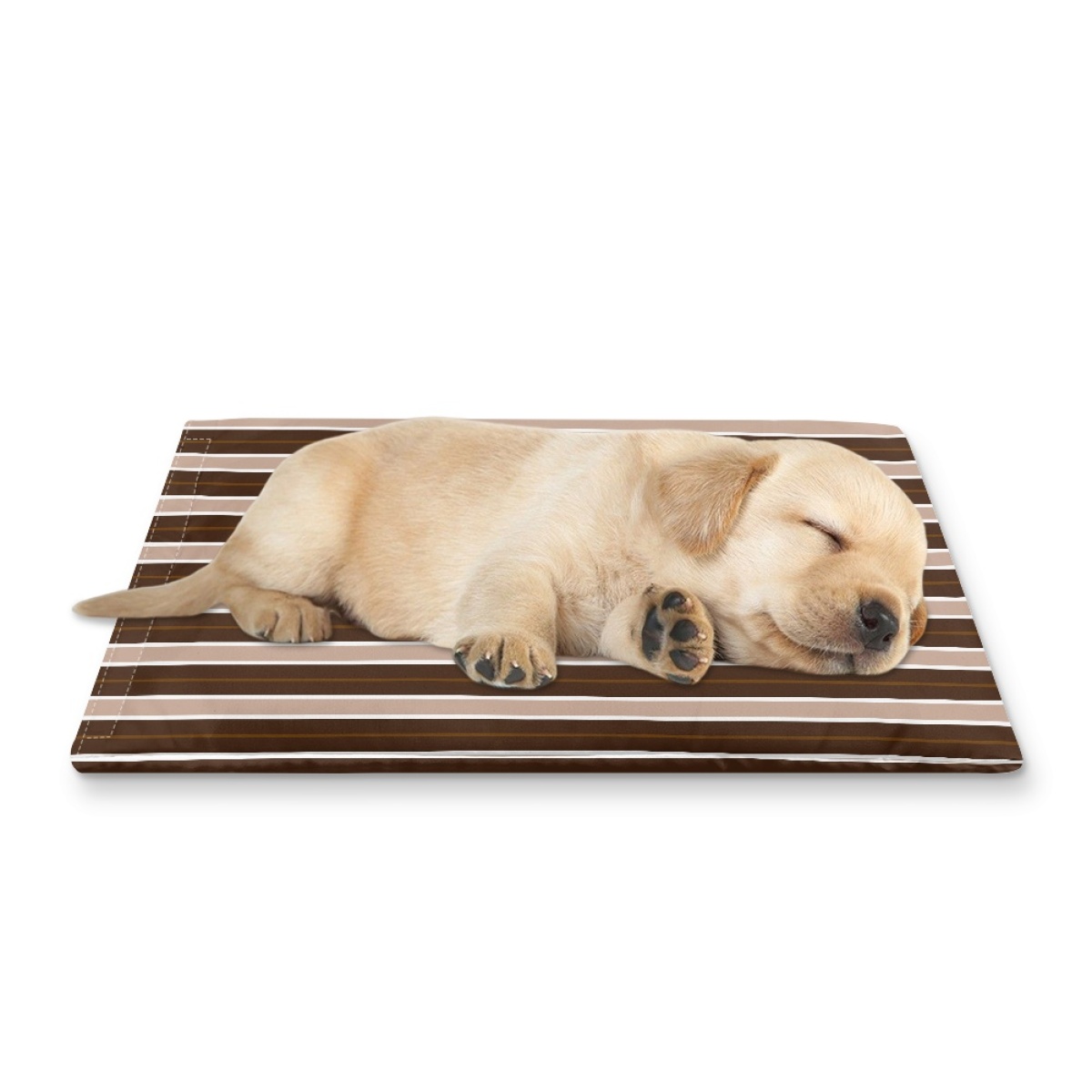 Pets&P Personalized Pet Ice Placemat