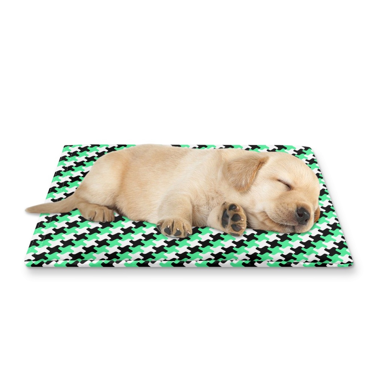 Pets&P Personalized Pet Ice Placemat