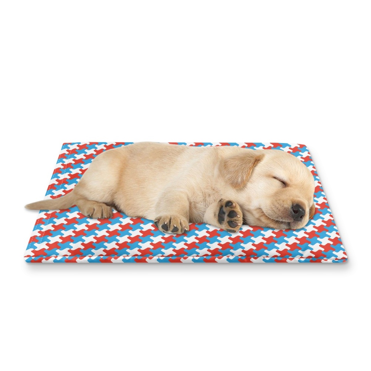 Pets&P Personalized Pet Ice Placemat