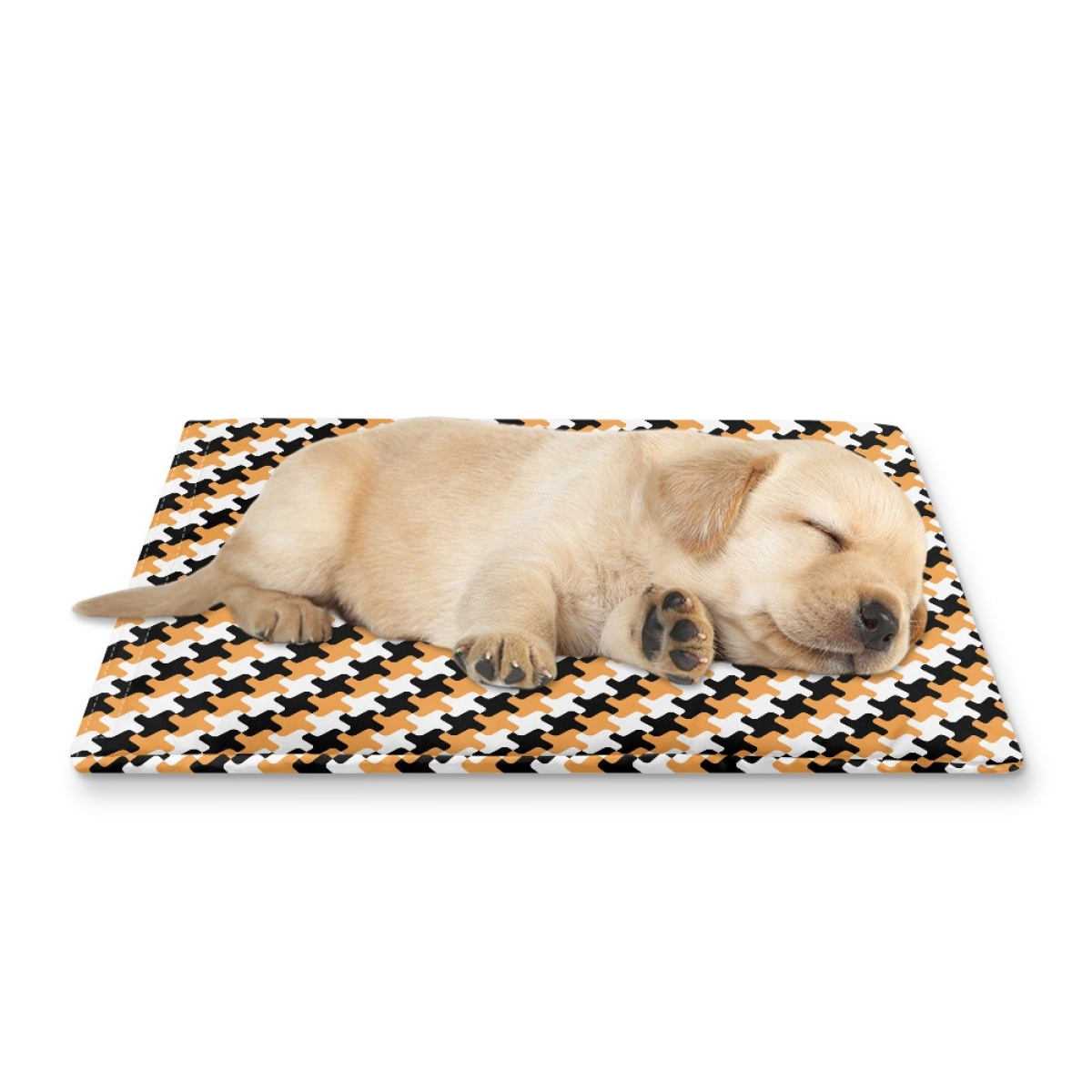 Pets&P Personalized Pet Ice Placemat