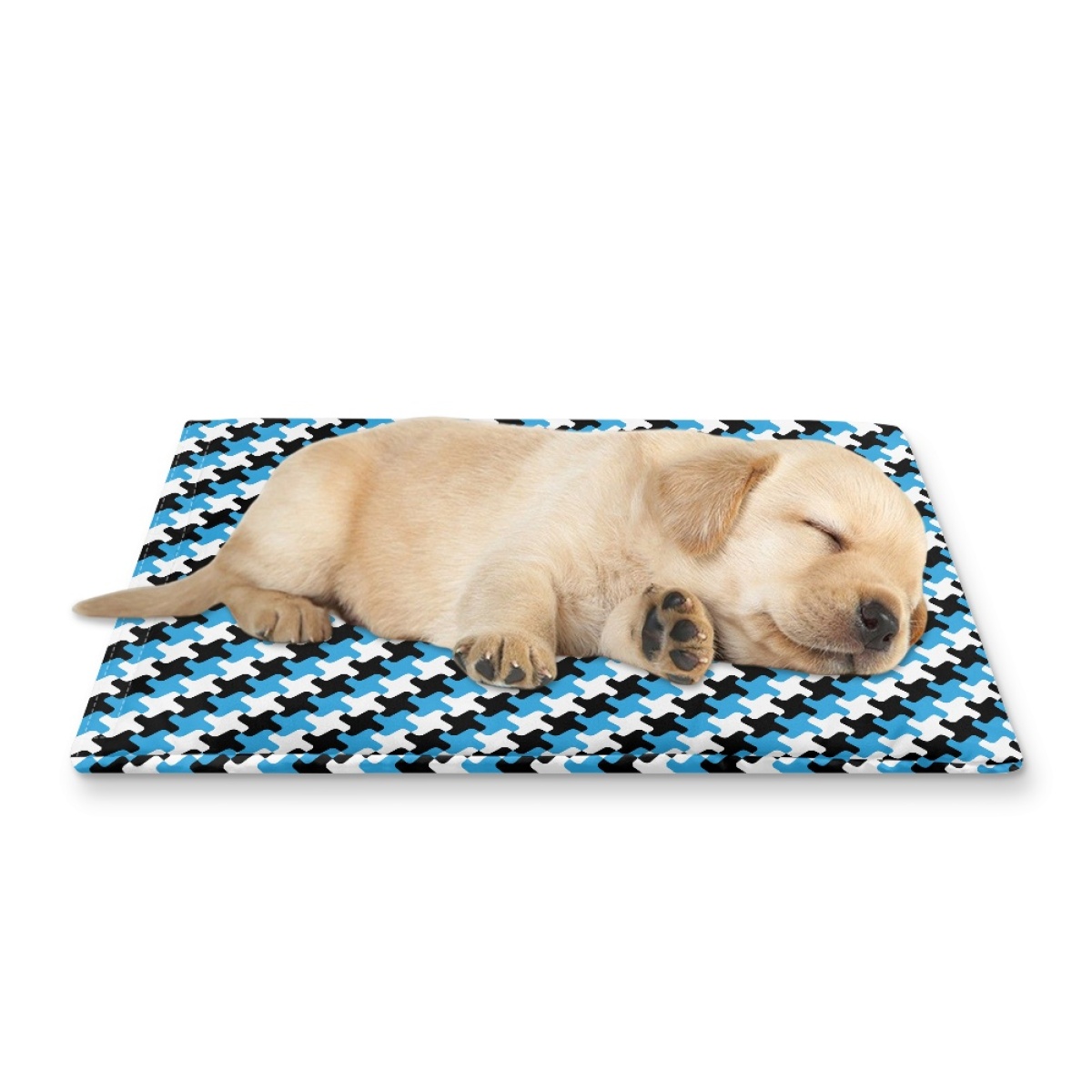 Pets&P Personalized Pet Ice Placemat