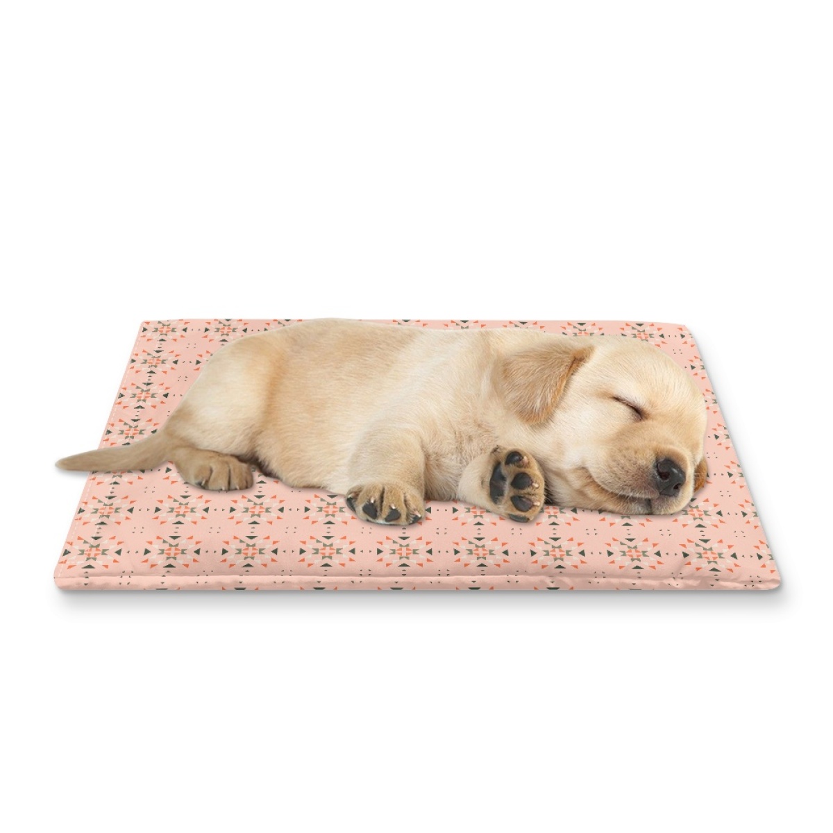 Pets&P Personalized Pet Ice Placemat