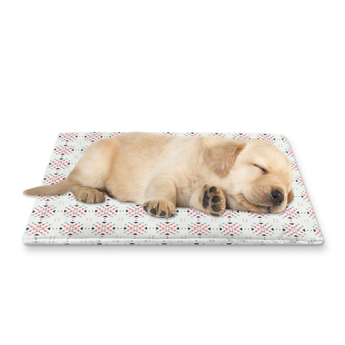 Pets&P Personalized Pet Ice Placemat