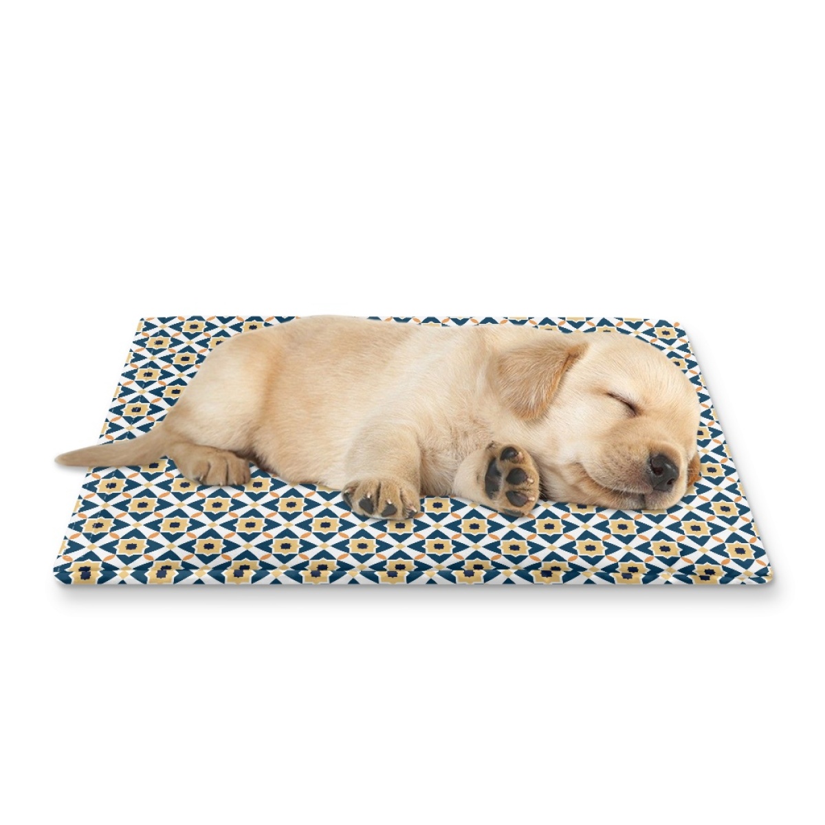 Pets&P Personalized Pet Ice Placemat