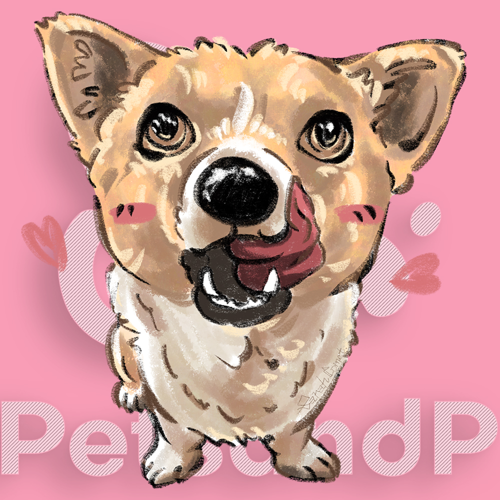 Personalized Pet Cartoon Portrait Painting - Full Body - Wooden Frame Inside - 30x30cm